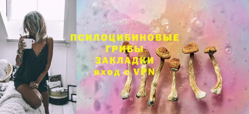 Псилоцибиновые грибы Psilocybine cubensis  Бобров 